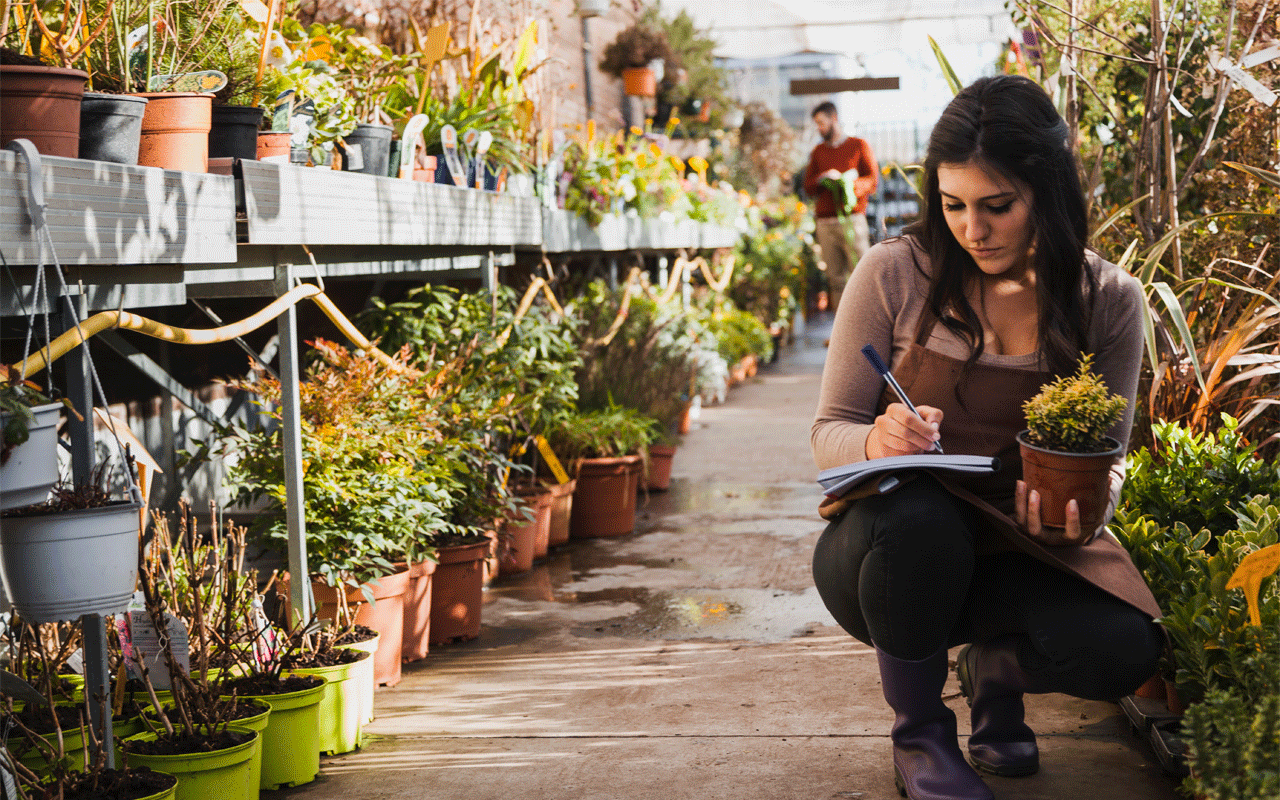 Tenant Guide To Garden Maintenance
