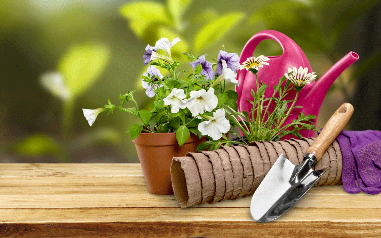 gardening tool 3